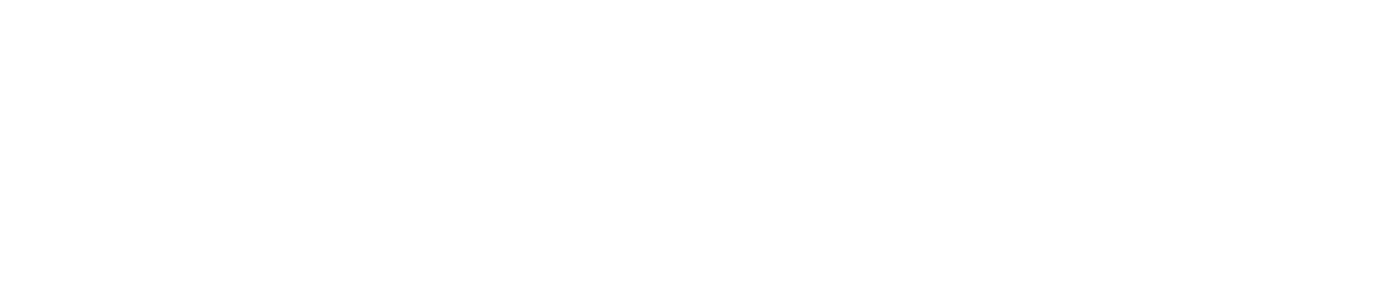 COMMUNICATION PROFESSIONAL